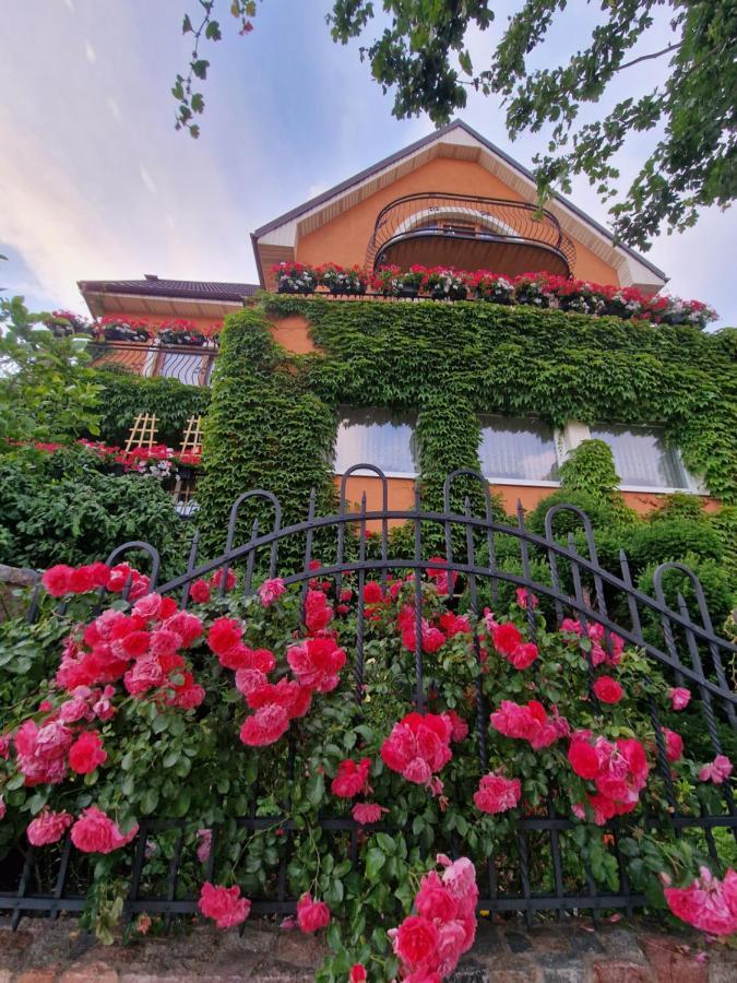Villa Victoria Leba Exteriér fotografie