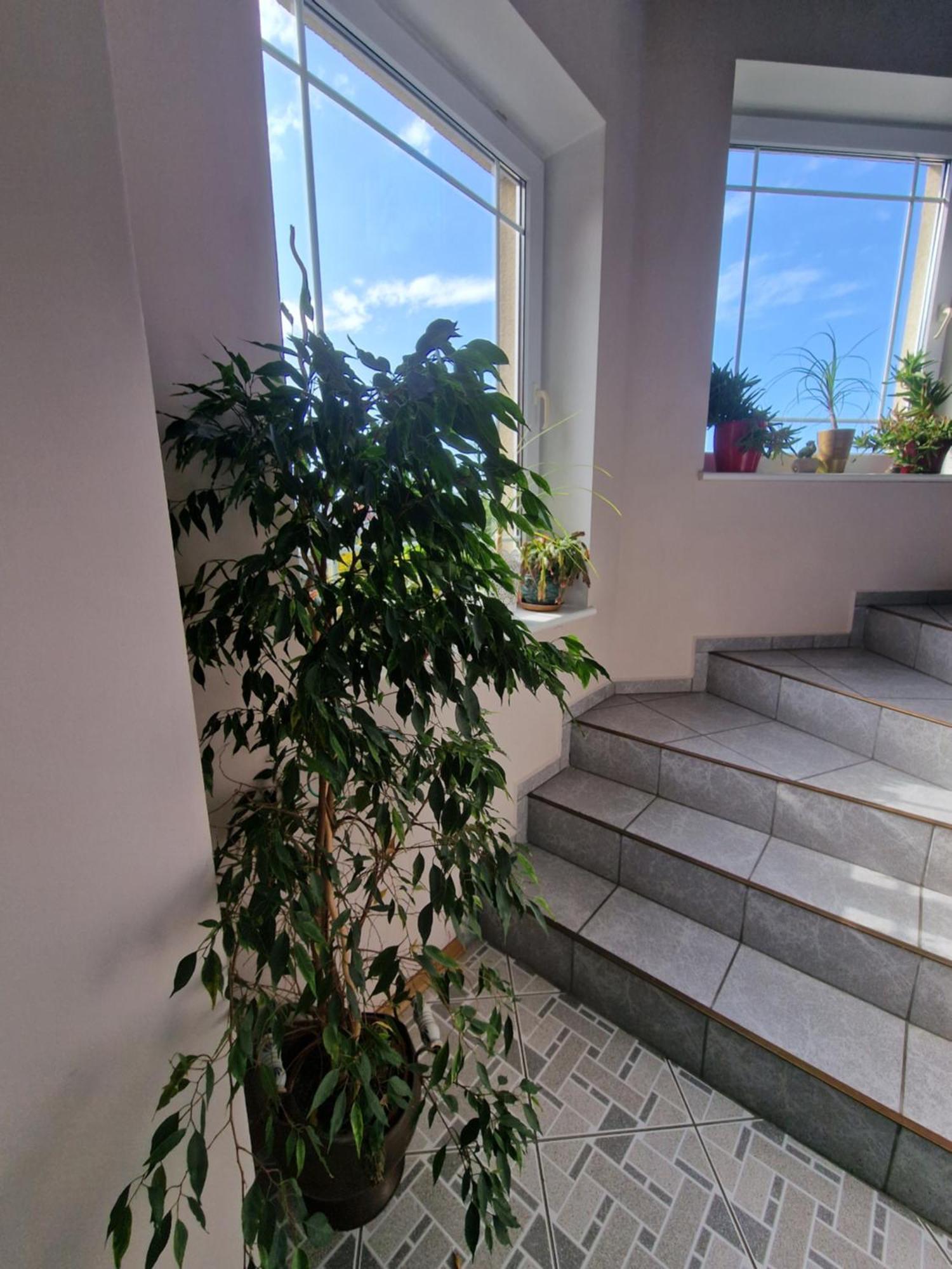 Villa Victoria Leba Exteriér fotografie